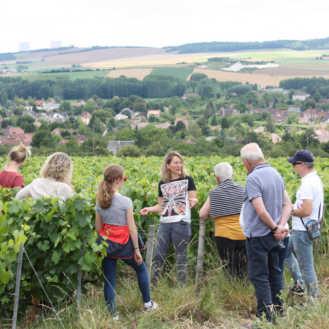 Balades en Vignes