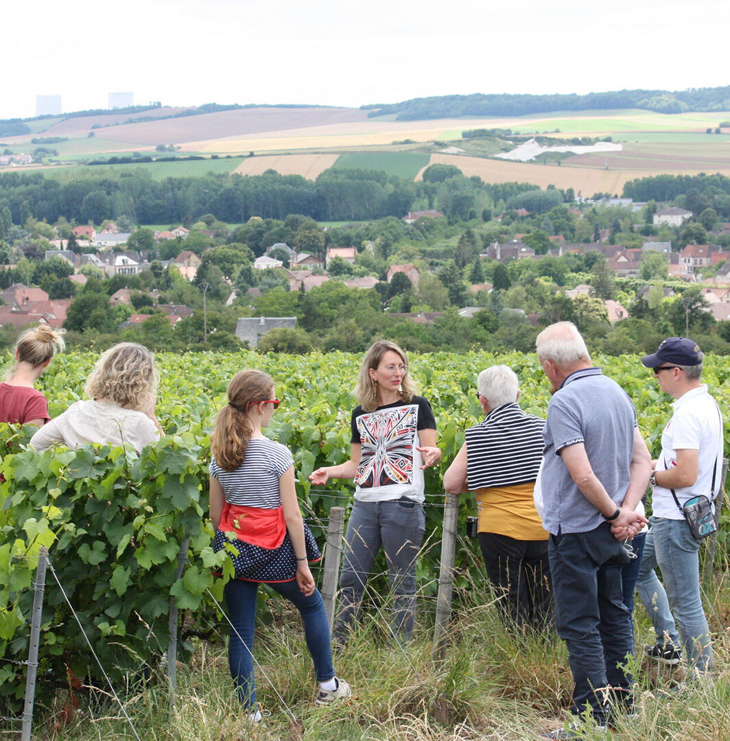 Balades en Vignes