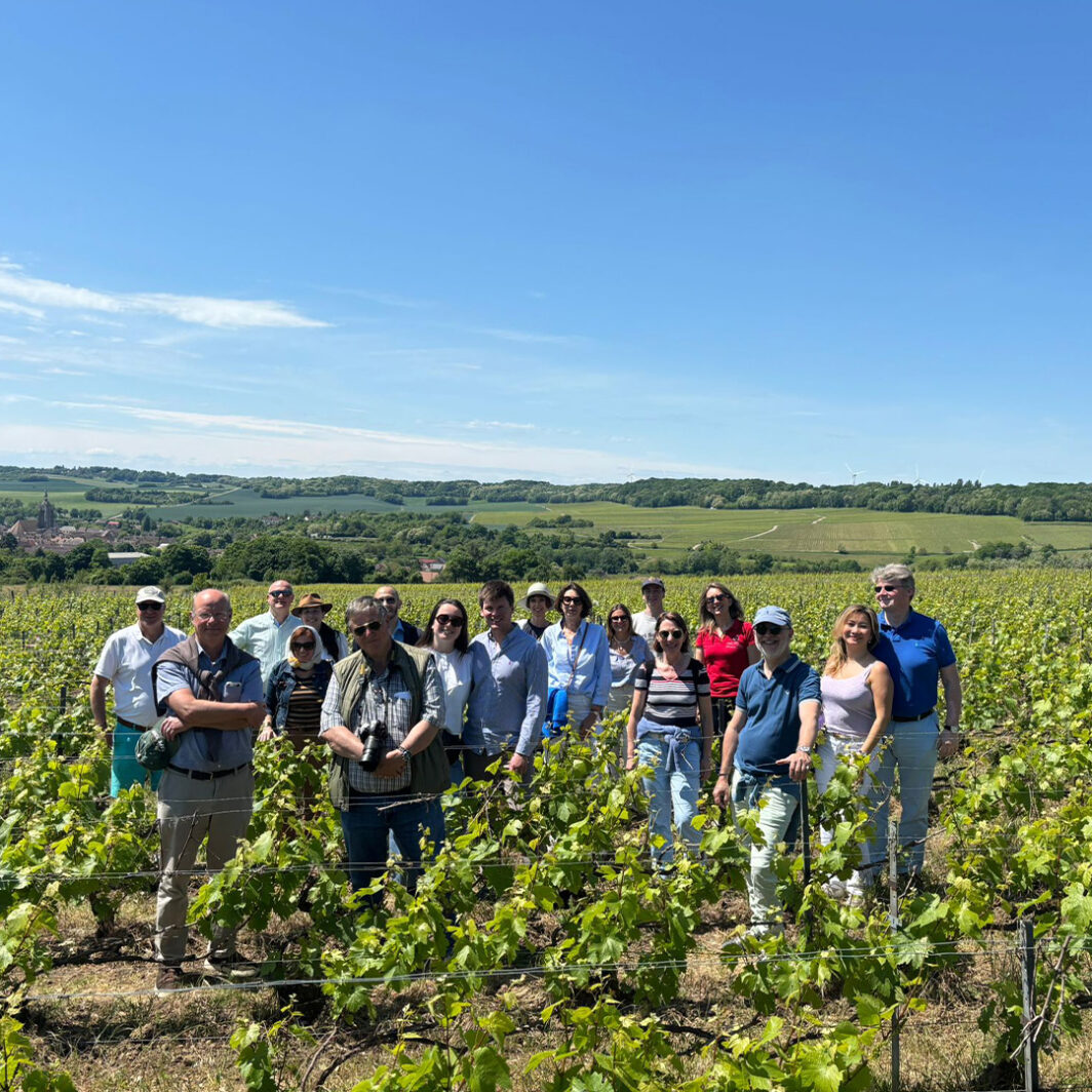 Balades en Vignes – Image 6